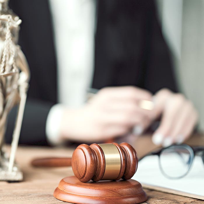 Lawyer learning about law states public property for the people